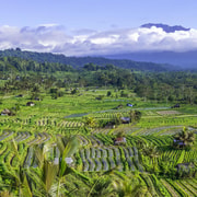 Hidden Bali: Jaga Satru Waterfall & Sidemen Rice Terrace