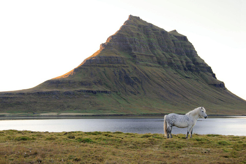 Snaefellsnes Schiereiland en Kirkjufell Tour in kleine groepSchiereiland Snaefellsnes en tour met kleine groepen naar Kirkjufell