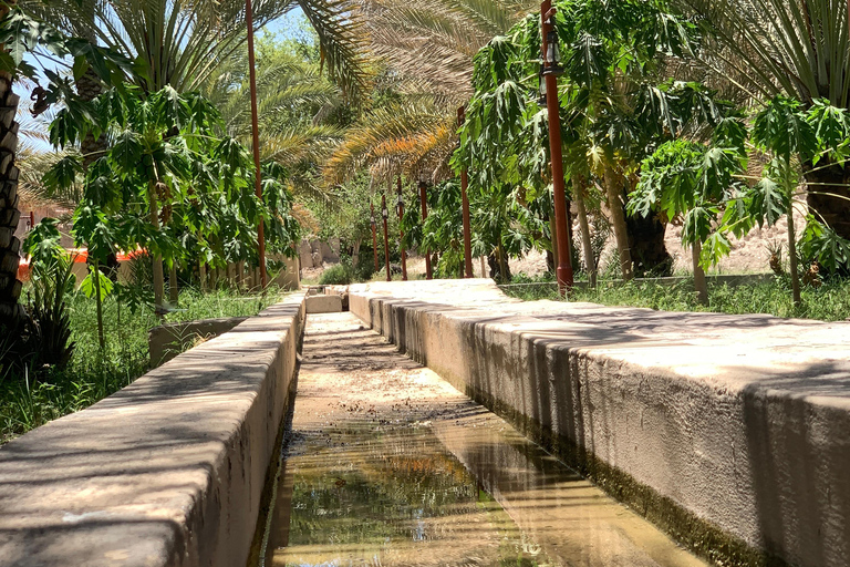 Nizwa: Nizwa Fort and Birkat Al Mouz Guided Tour