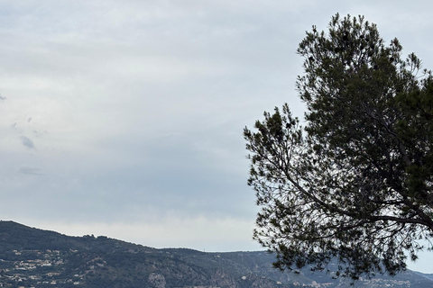 Nice by Quad: Electric quad bike adventure with exclusive views Nice: Quiet Electric Quad Bike with Exclusive Views