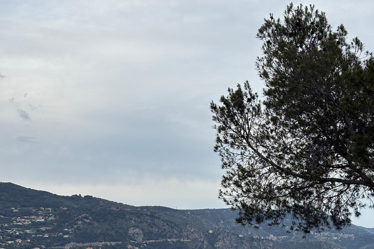 Nice by Quad: Electric quad bike adventure with exclusive views Nice: Quiet Electric Quad Bike with Exclusive Views