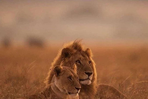 Safari de 7 días por lo mejor de Tanzania y Kenia