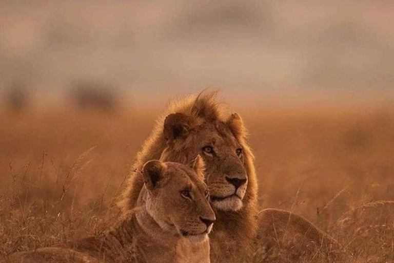 7-Day Best of Tanzania and Kenya Safari