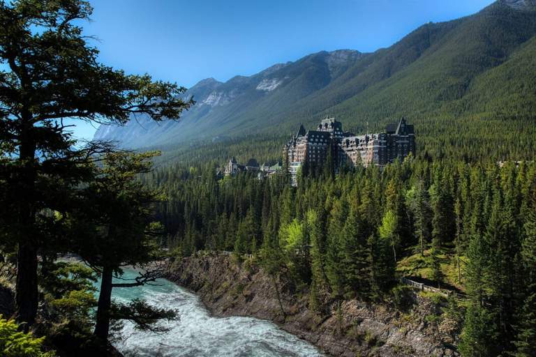 From Banff: Wildlife Viewing, Top Sights & Gondola Ticket