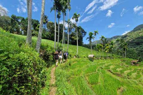 Kandy: Heeloya Village Tour with Lunch and Guide