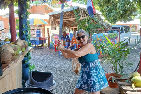 Puerto Plata: Countryside tour with Monkey Home, butterflies, and coffee