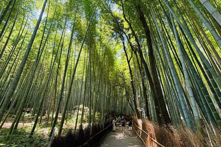 VISITE D&#039;UNE JOUNÉE DE KYOTO ET NARA AVEC PRISE EN CHARGE ET RETOUR