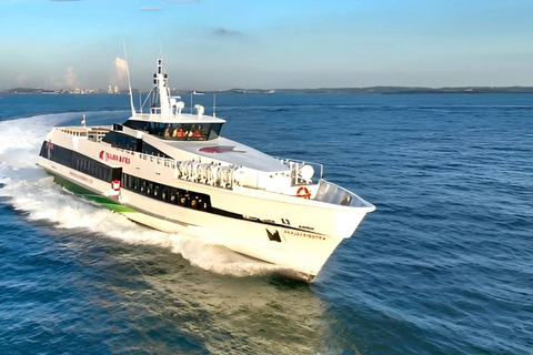 Bali: Eka Jaya Fast Ferry Transfer to Gili Islands & Lombok Nusa Penida to Senggigi