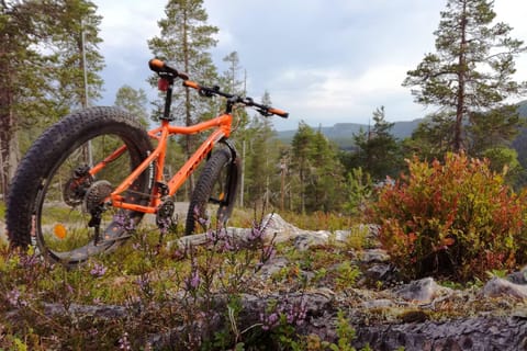 Ruka : Mit Fatbikes in den Wald