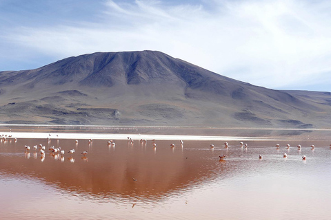 Exkursion zum Salar de Uyuni und Busfahrt über Nacht