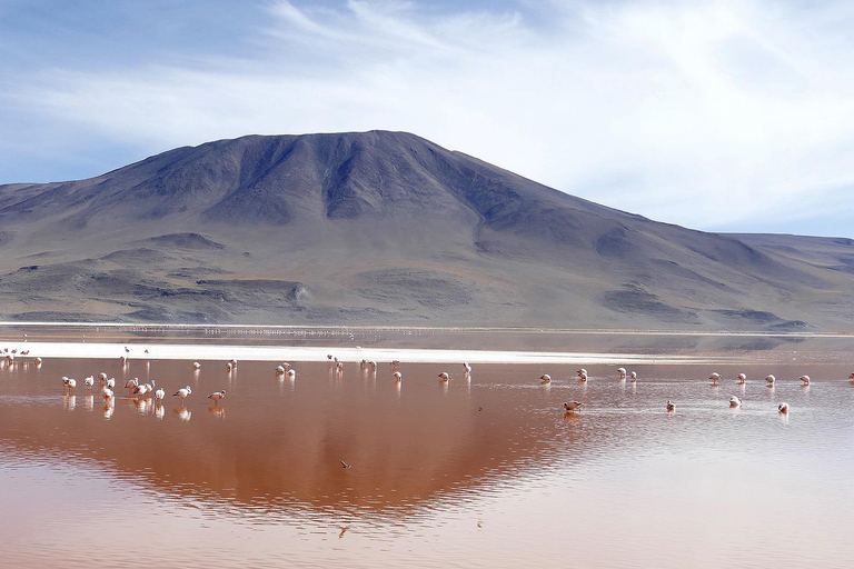 Exkursion zum Salar de Uyuni und Busfahrt über Nacht