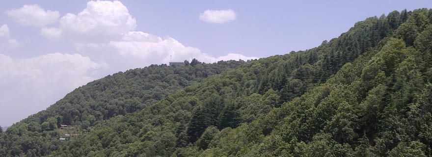 Shimla : Randonnée guidée vers la colline de Taradevi avec un guide de la région