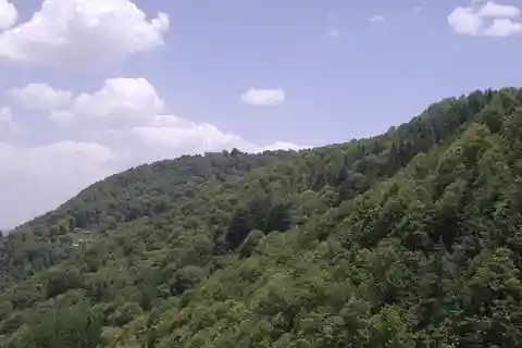 Shimla: Hiking Tour to Taradevi Hill with Local Driver Guide