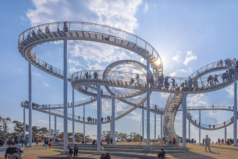 From Busan: Pohang Space Walk & Homigot Sunrise Plaza Tour Seomyeon Station, Exit 4