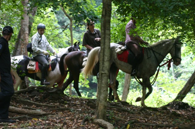 Visit Horse Riding in Nuwara Eliya in Nuwara Eliya