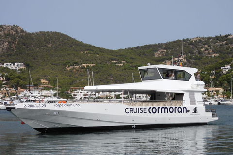 Vanuit Palma: dolfijn-boottocht in de namiddag13:11 uur Tour vanaf bushalte 355 Taurus Park