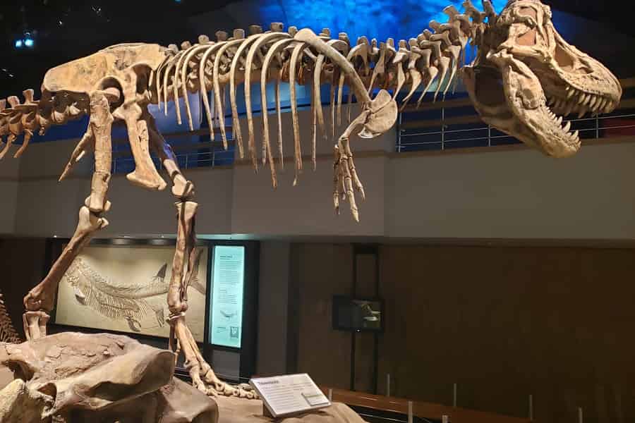 Geführte Drumheller-Tour: Von Calgary zu den Dinosaurier-Badlands-Hoodoos. Foto: GetYourGuide