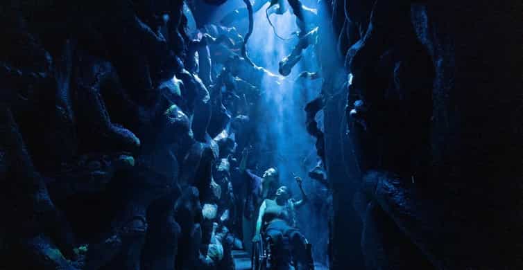 Singapore: Harry Potter Visions of Magic at Sentosa Ticket photo 16