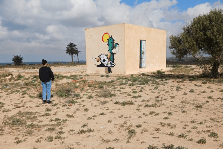 Djerba: excursão de um dia de descoberta &quot;Space Invaders&quot; TunísiaDjerba: viagem de um dia &quot;Space Invaders&quot; Tunísia