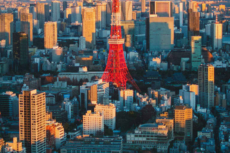 Tokyo: 2-Day Guided Tour with Kamakura & Hotel Pickup