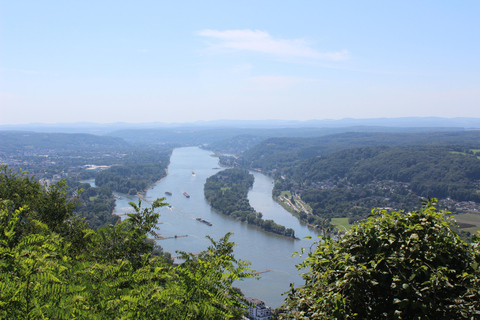 Day trip by boat from Cologne to the Siebengebirge (Königswinter)