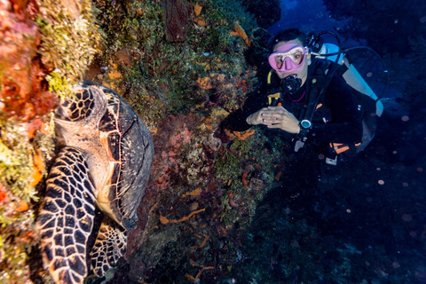 Cancun: Immersione nella nave affondata (Subacquei certificati)