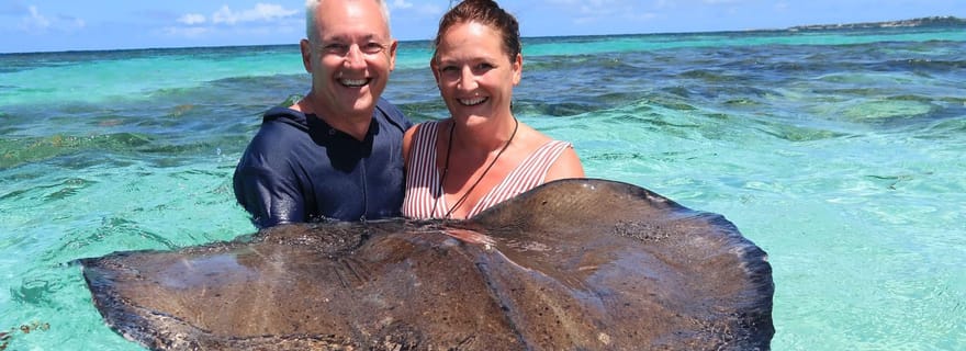 St. John's ; Combo Île Laviscount et baignade avec les raies