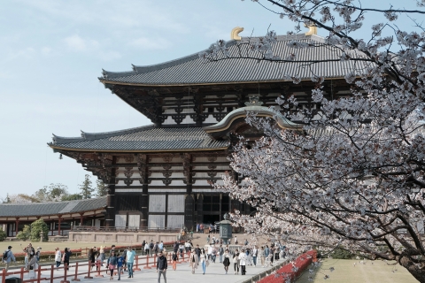 Paseo por el Patrimonio de Nara desde el Parque de Nara hasta el templo Todaji-jiTour privado
