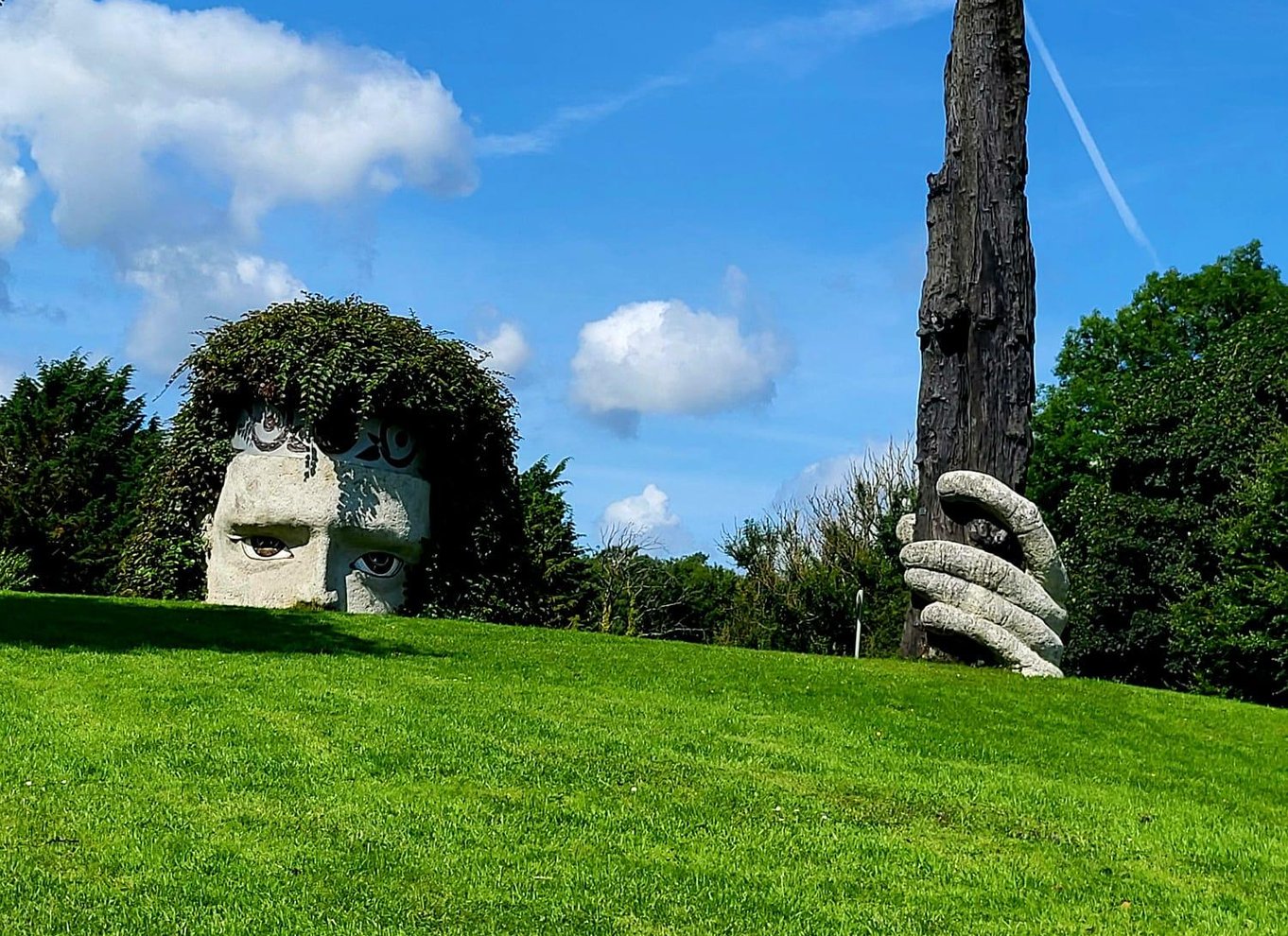 Moate: Adgangsbillet til Dún na Sí Amenity & Heritage Park