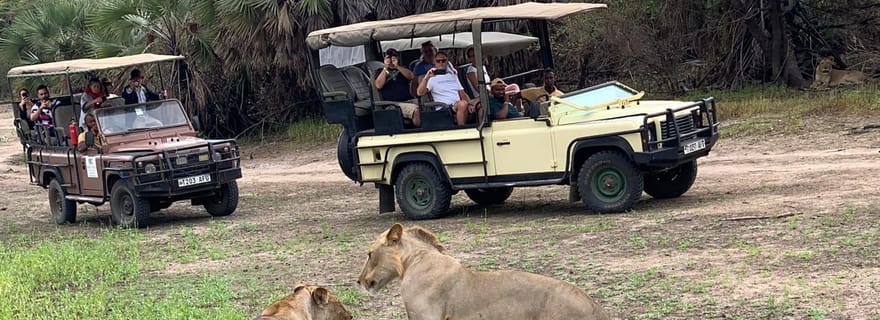 Safari d'une journée par vol au départ de Zanzibar : parc national de Mikumi