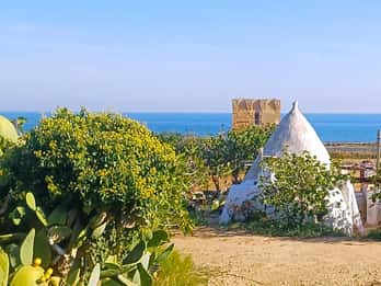 Bari: Tour Polignano Alberobello Matera (Private or Shared)