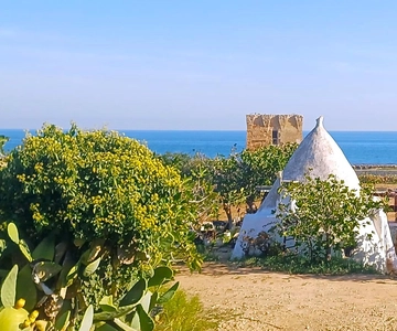 Bari: Polignano Alberobello Matera Private or Shared Tour