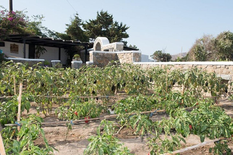 Mykonian Farm Entrance Ticket with Sweet Treat