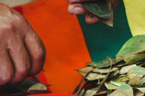 Lectura de las hojas de coca: Ceremonia Inca Ancestral