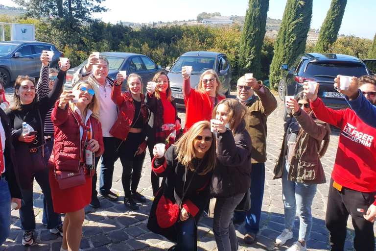 Geführte Tour durch libanesische Weingüter mit Verkostung und MittagessenLibanesische Weinkellereien Tour mit Verkostung und Mittagessen