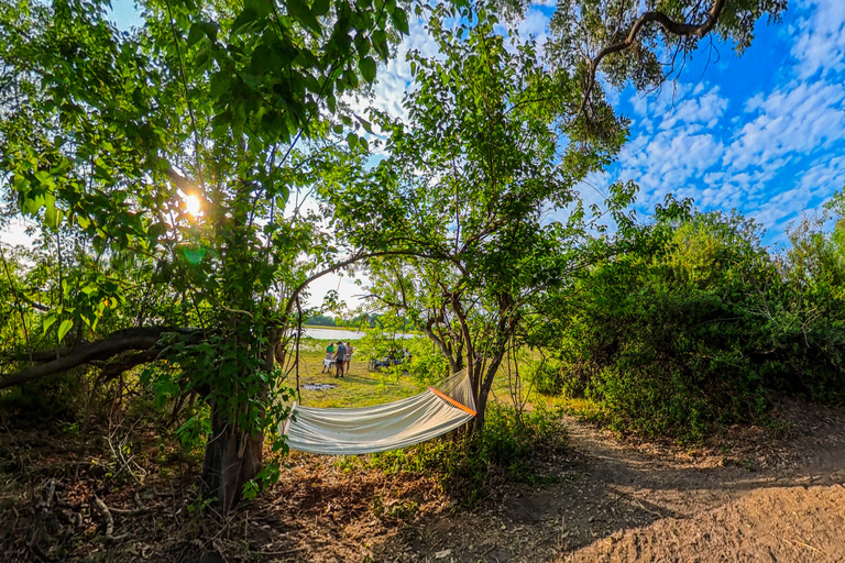 Mokoro Safari Experience in the Okavango Delta