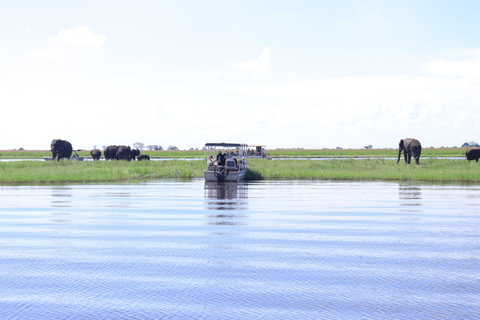 Kasane: Chobe National Park Game Drive and Boat Cruise