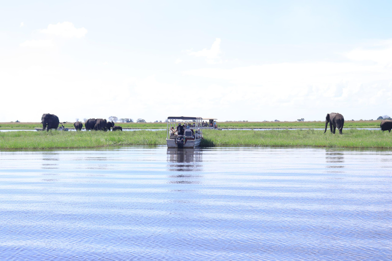 Kasane: Chobe National Park Game Drive and Boat Cruise
