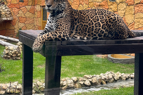 BOGOTÁ: Passeio ao parque Jaime Duque, zoológico e museu aeroespacial