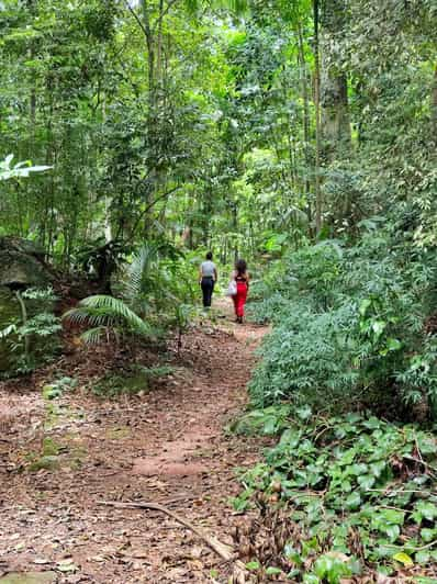 Tijuca Forest´s hike: caves, waterfalls and great views | GetYourGuide