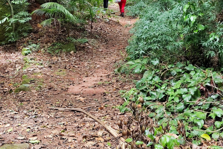 Tijuca Forest´s hike: caves, waterfalls and great views