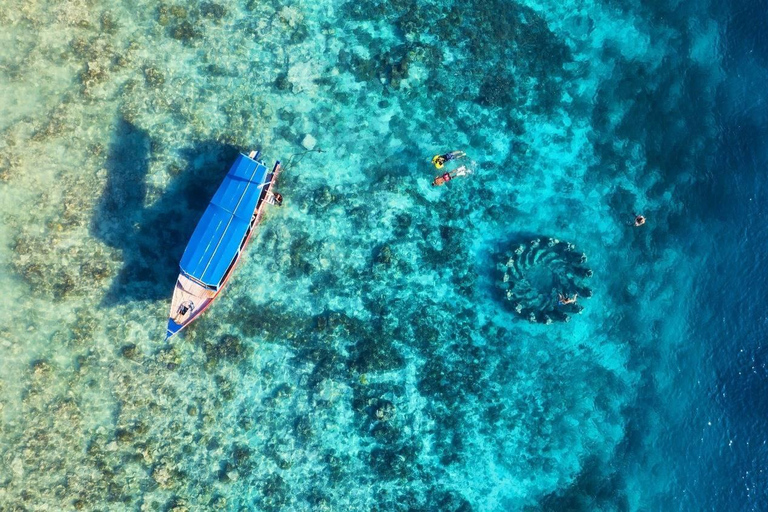 Gili Islands: Snorkeling Tour with Turtles and Coral Reefs