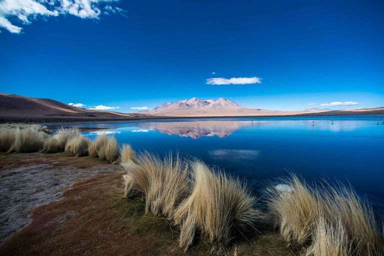 1D Excursión Privada a Laguna Colorada desde Uyuni