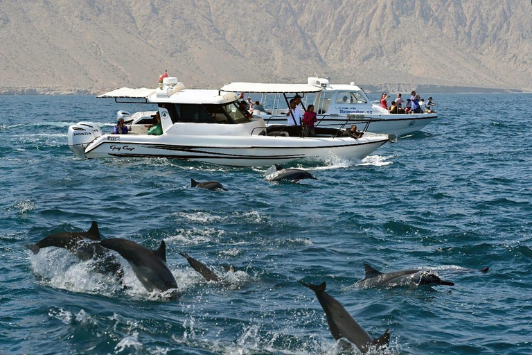 Muscat: Majestic Dolphins – Private Ocean Tour