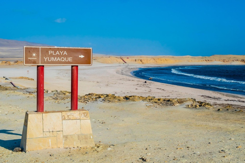 Ab Paracas: Buggy Tour durch das Paracas National ReserveTreffpunkt