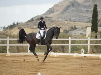Plakias: Lezioni di equitazione