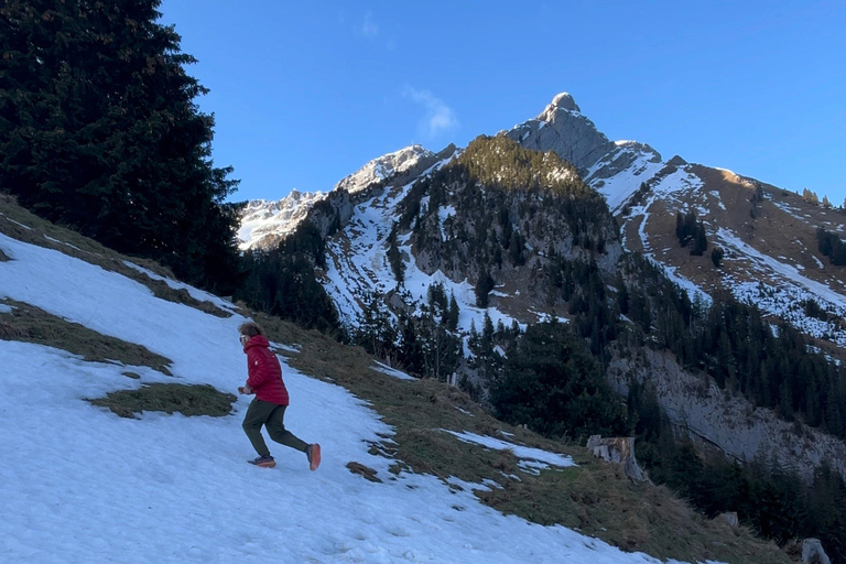 Luzern: Guided Hike to Pilatus with Swiss Triathlete