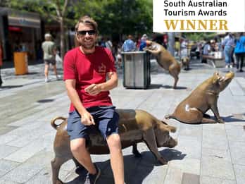 Adelaide: Excursão guiada a pé com bebida e lanche