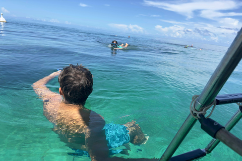 半天帆船之旅，在瓜德罗普泻湖停留在泻湖的保护区中心地带进行半天航行，并停留