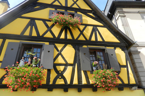 Visite d'une jounée Safari Villages et vignobles Dégustation de vinSafari Tour Villages et vignobles : Journée complète et dégustation de vins